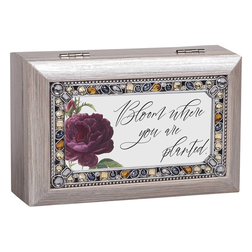 1585 Musical Trinket Photo Jewelry Box Plays Tune Edelweiss 4 x 6 Inch